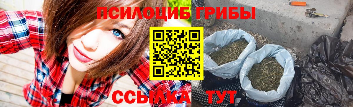 Саянск  Псилоцибиновые грибы Psilocybine cubensis  Галлюциногенные грибы Magic Shrooms  Вход с VPN 